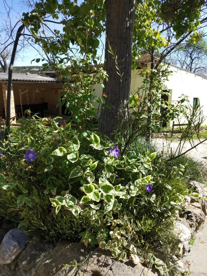 Camping Yaso-Guara المظهر الخارجي الصورة